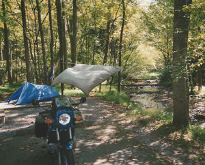 At Elkmont in Smokies